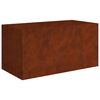 vidaXL Lovelis, 80x40x40cm, Corten plienas
