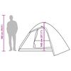 vidaXL Stovyklavimo palapinė, ruda, keturvietė, kupolinė