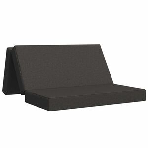 vidaXL Sulankstomas Sofos Lova 160 x 67 x 45 cm Tamsiai pilka