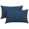 vidaXL Sofa Pagalvės 2 vnt. audinys Mėlyna 50 x 30 cm