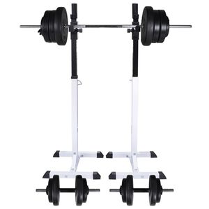 vidaXL &Scaron;tangos-pritūpimų stovas su &scaron;tanga ir hantelių rinkiniu, 60,5kg