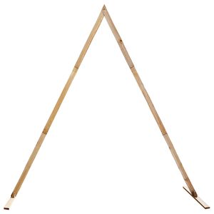 vidaXL Vestuvinis Arklys &Scaron;viesiai rudas 202 x 95 x 254 cm