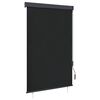 vidaXL Lauko roletas, antracito spalvos, 120x250cm