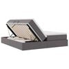vidaXL Lova su daiktų laikymo vieta ir čiužiniu Pilka 180 x 200 cm
