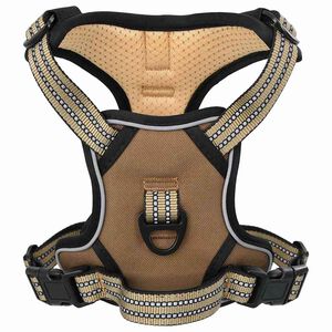 vidaXL &Scaron;unų petne&scaron;os su reguliuojamu pavadėliu ir antkakliu, rudas, L