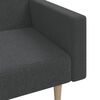 vidaXL Dvivietė sofa-lova, tamsiai pilkos spalvos, audinys