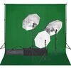 vidaXL Fotostudijos rinkinys su ap&scaron;vietimo rinkiniu ir fonu