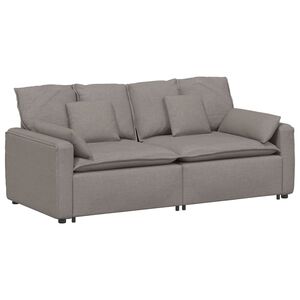 vidaXL Modulinė sofa su pagalvėlėmis, pilkai ruda