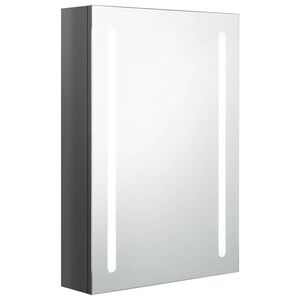 vidaXL Veidrodinė vonios spintelė su LED ap&scaron;vietimu, pilka, 50x13x70cm