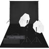 vidaXL Fotostudijos rinkinys su ap&scaron;vietimo rinkiniu ir fonu