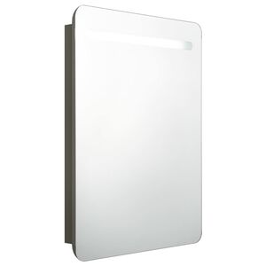 vidaXL Veidrodinė vonios spintelė su LED, antracito, 60x11x80cm