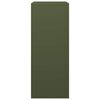 vidaXL Stovas malkoms, žalios spalvos, 60x40x100cm, plienas