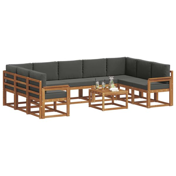 vidaXL Lauko sofos komplektas 10 pcs Natūralus ir antracitas