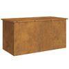 vidaXL Lauko saugojimo dėžė Rūdijanti 100 x 50,5 x 50 cm Plienas