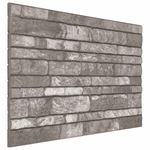 vidaXL Sienų plok&scaron;tės 10 vnt. 100 x 50 cm Tamsiai pilka EPS putos