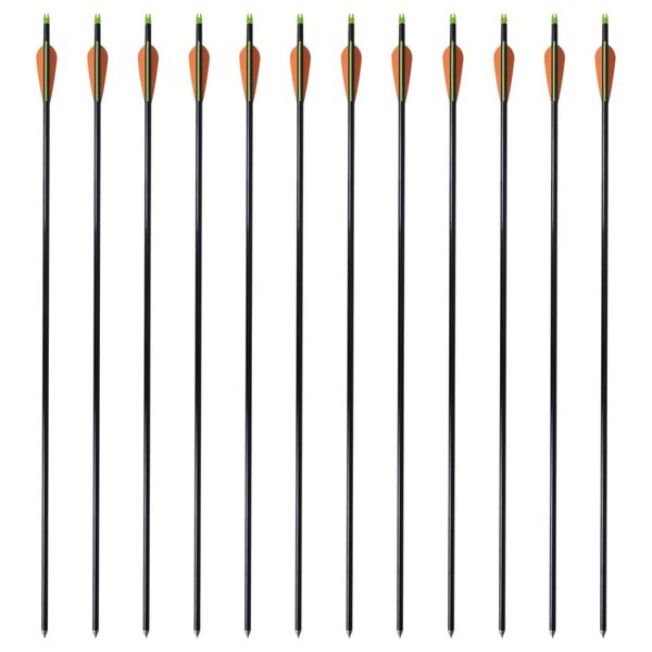 Standartinės kombinuoto lanko strėlės, 12vnt., stiklo pluoštas, 30"