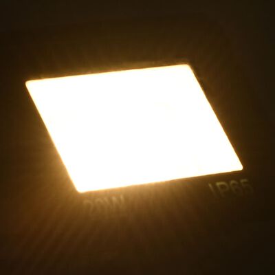 vidaXL LED prožektorius, šiltos baltos spalvos, 20W
