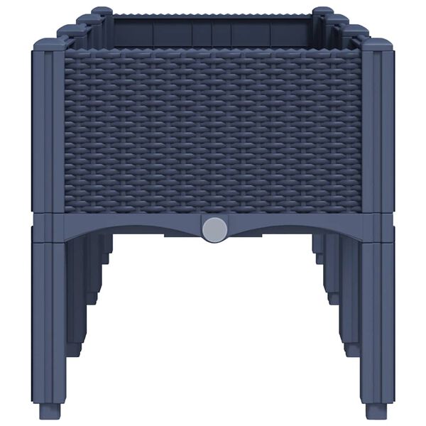 vidaXL Sodo lovelis su kojomis, melsvai pilkos spalvos, 120x40x42cm, PP