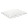 Prekės miniatiūra 3 i&scaron; 12