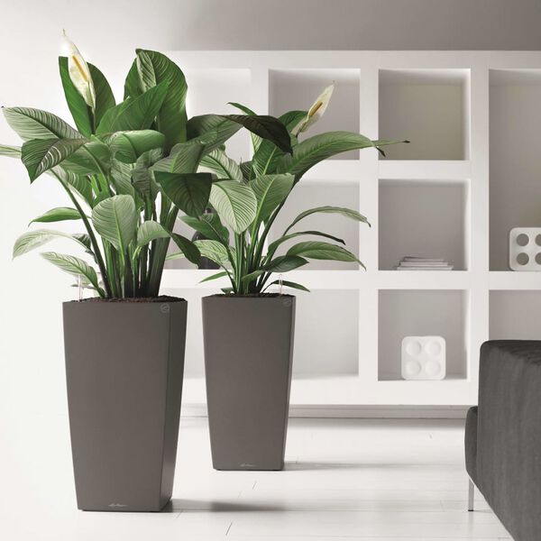 LECHUZA Vazonas Cubico 30 ALL-IN-ONE, anglies spalvos, 18184