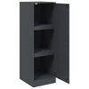 vidaXL &Scaron;oninė spintelė, antracito spalvos, 34,5x39x107cm, plienas