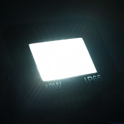 vidaXL LED prožektorius, šaltos baltos spalvos, 10W
