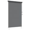 vidaXL Roletas &Scaron;viesiai pilka 120 x 250 cm Audinys ir aliuminis