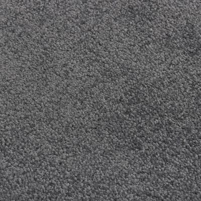 vidaXL Durų kilimėlis, antracito spalvos, 60x80cm