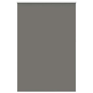 vidaXL roletas smėlio Pilka 165x210 cm audinio plotis 161,6 cm