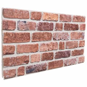 vidaXL Sienų plok&scaron;tės 10 vnt. 100 x 50 cm Raudona EPS putos