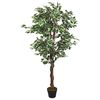 vidaXL Dirbtinis fikusas, žalios spalvos, 120 cm, 630 lapai