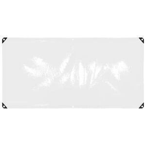 vidaXL Skaidrus brezentas su ąselėmis 1x2 m PVC