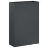 vidaXL Sodo vazonas Antracito 50 x 20 x 75 cm &Scaron;altai valcuotas plienas