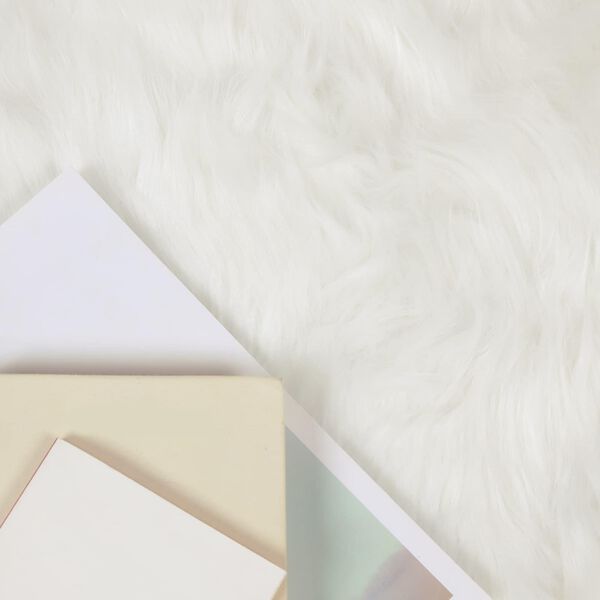 vidaXL Dirbtinio avikailio kilimas Tafalla Balta 240 x 240 cm