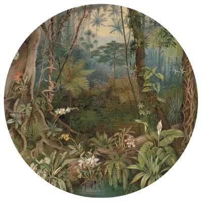 WallArt Tapetai In the Jungle, 142,5cm, apskriti