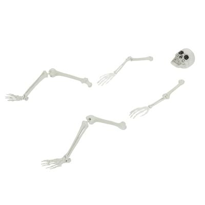Helovino skeletas su žemės smaigais baltas 45,5 x 13 cm