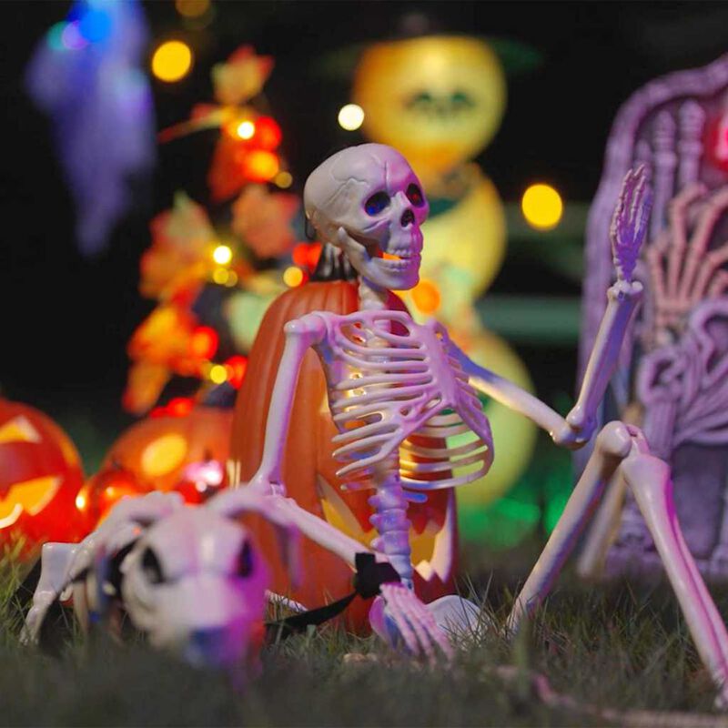 Baltas Helovino skeletų dekoracijų rinkinys lauke