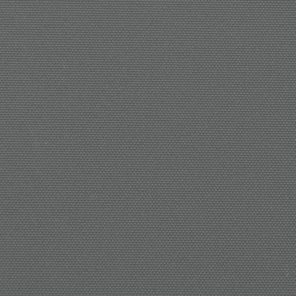 vidaXL Ištraukiama šoninė markizė, antracito spalvos, 120x300cm