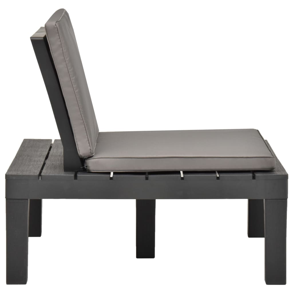 vidaXL Sodo poilsio kėdės su pagalvėlėmis, 2vnt., antracito, plastikas