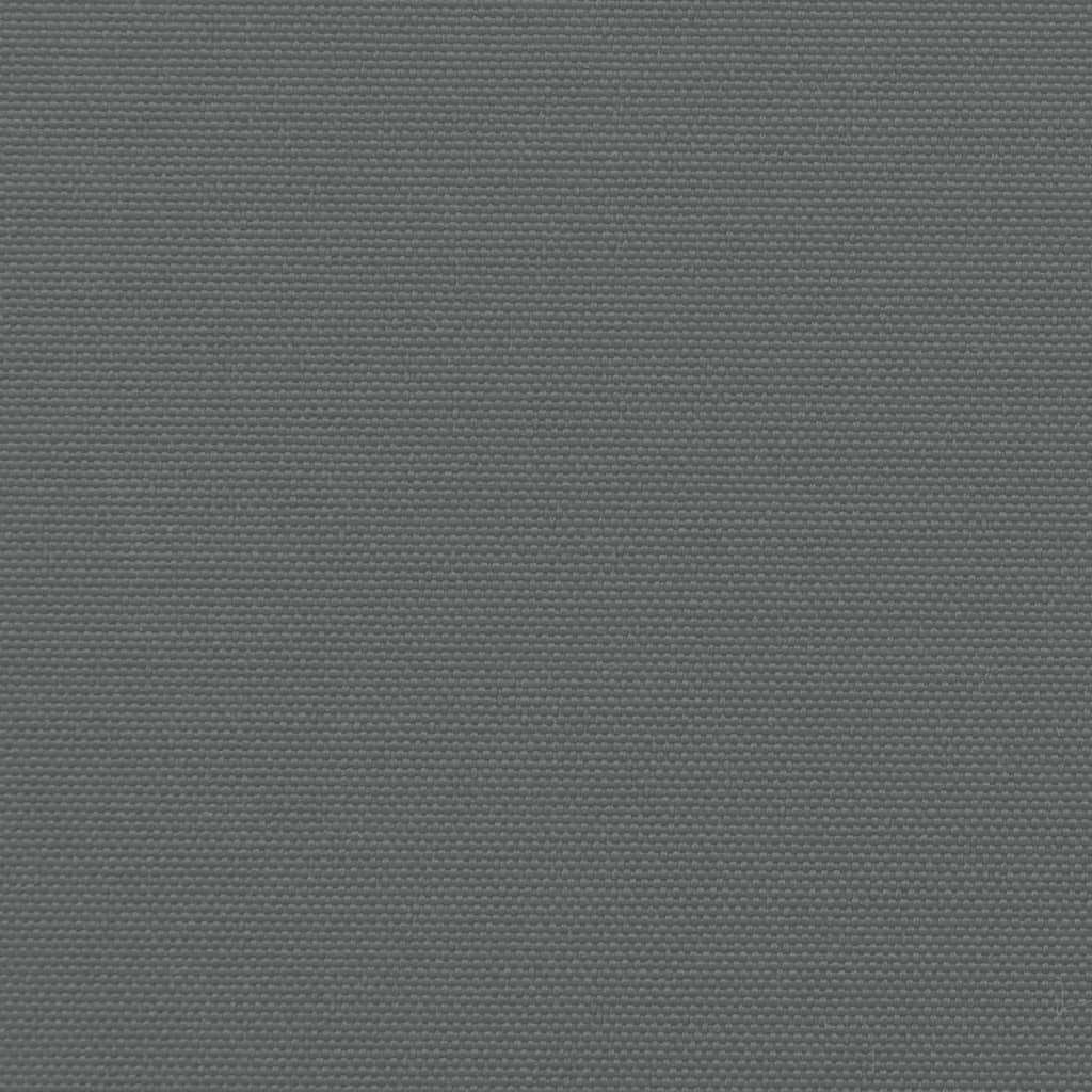 vidaXL Ištraukiama šoninė markizė, antracito spalvos, 100x300cm
