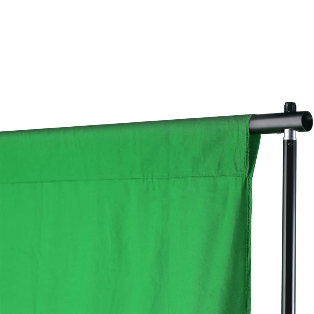 vidaXL Fono rėmo sistema, 600 x 300 cm, žalia