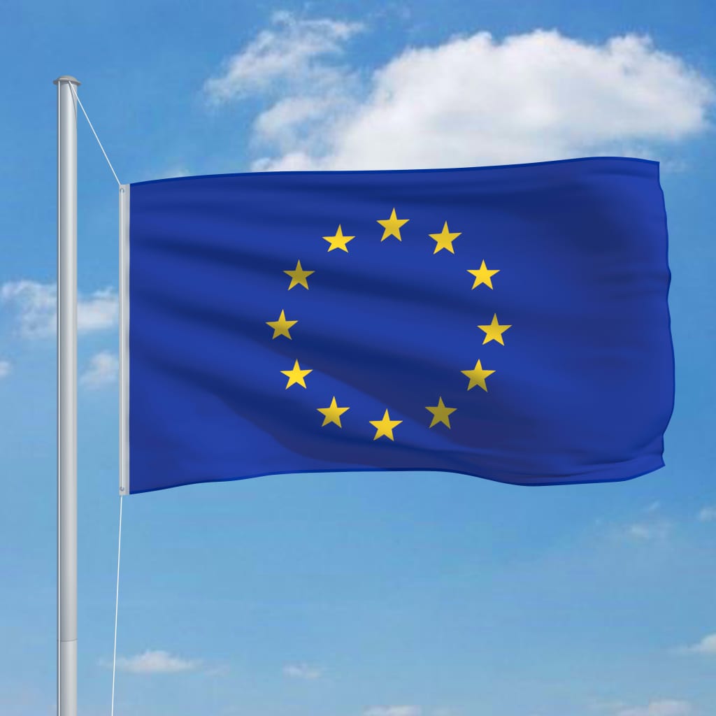 vidaXL Europos Sąjungos vėliava, 90x150cm