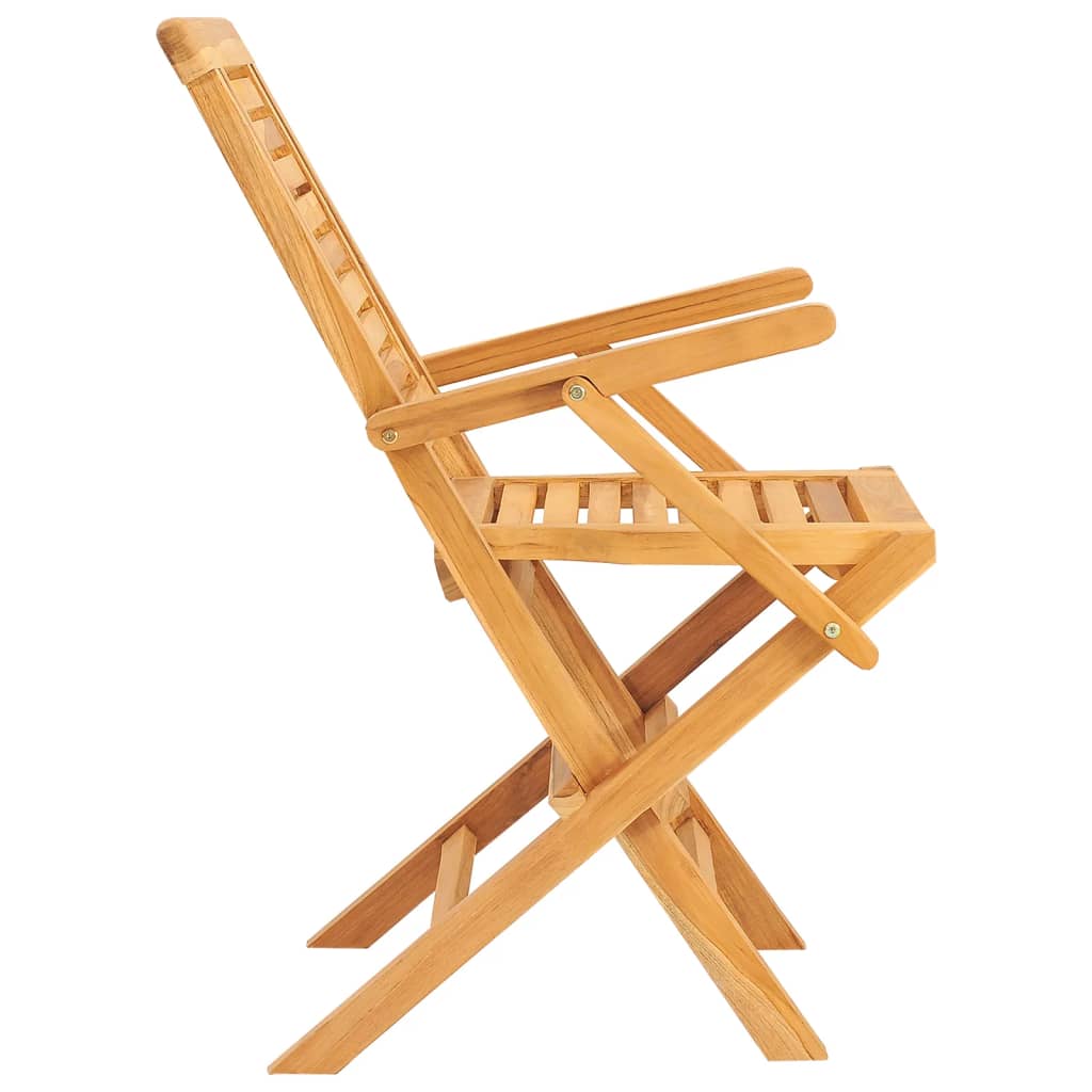vidaXL Sulankstomos sodo kėdės, 2vnt., 56x63x90cm, tikmedžio masyvas