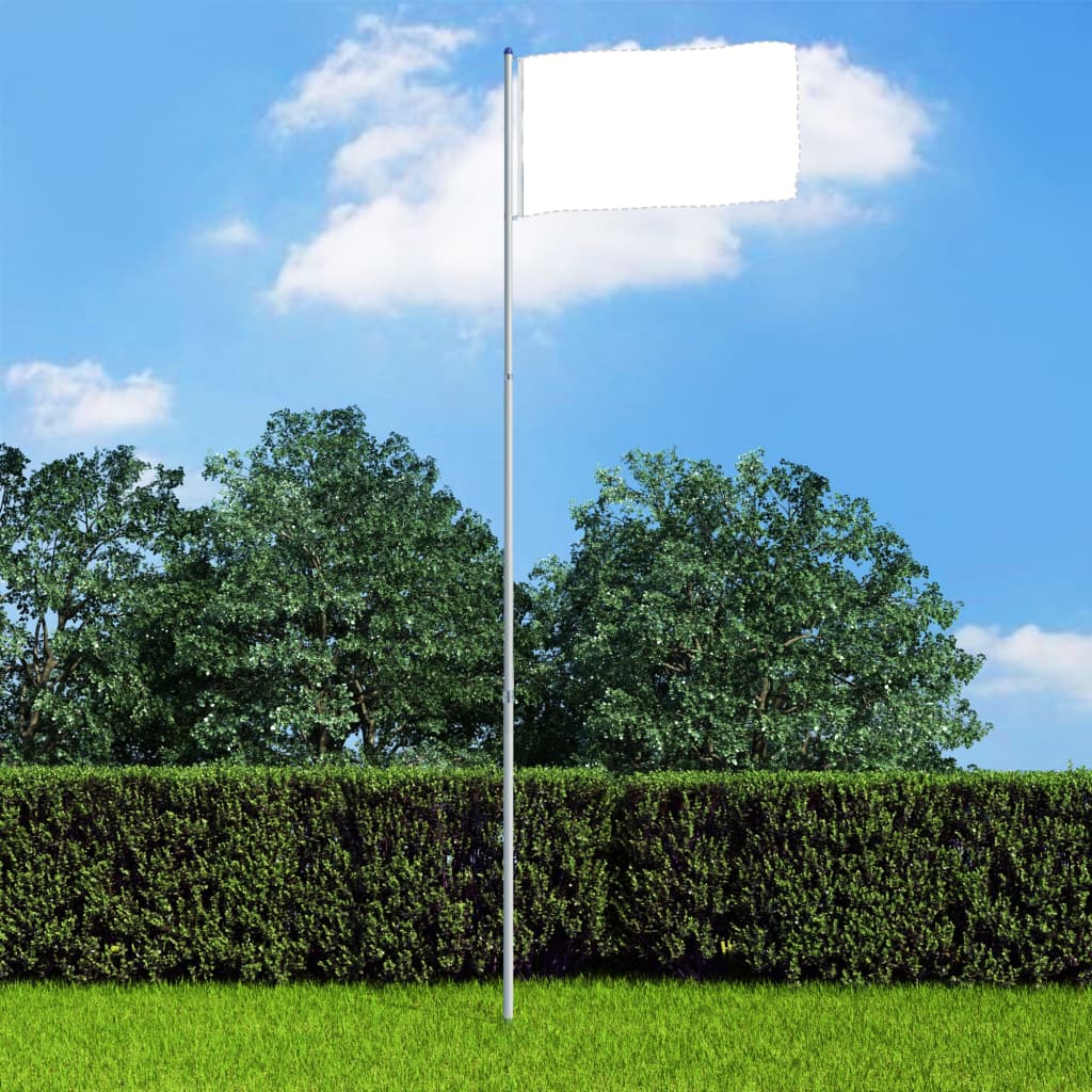 vidaXL Teleskopinis vėliavos stiebas, aliuminis, 6m