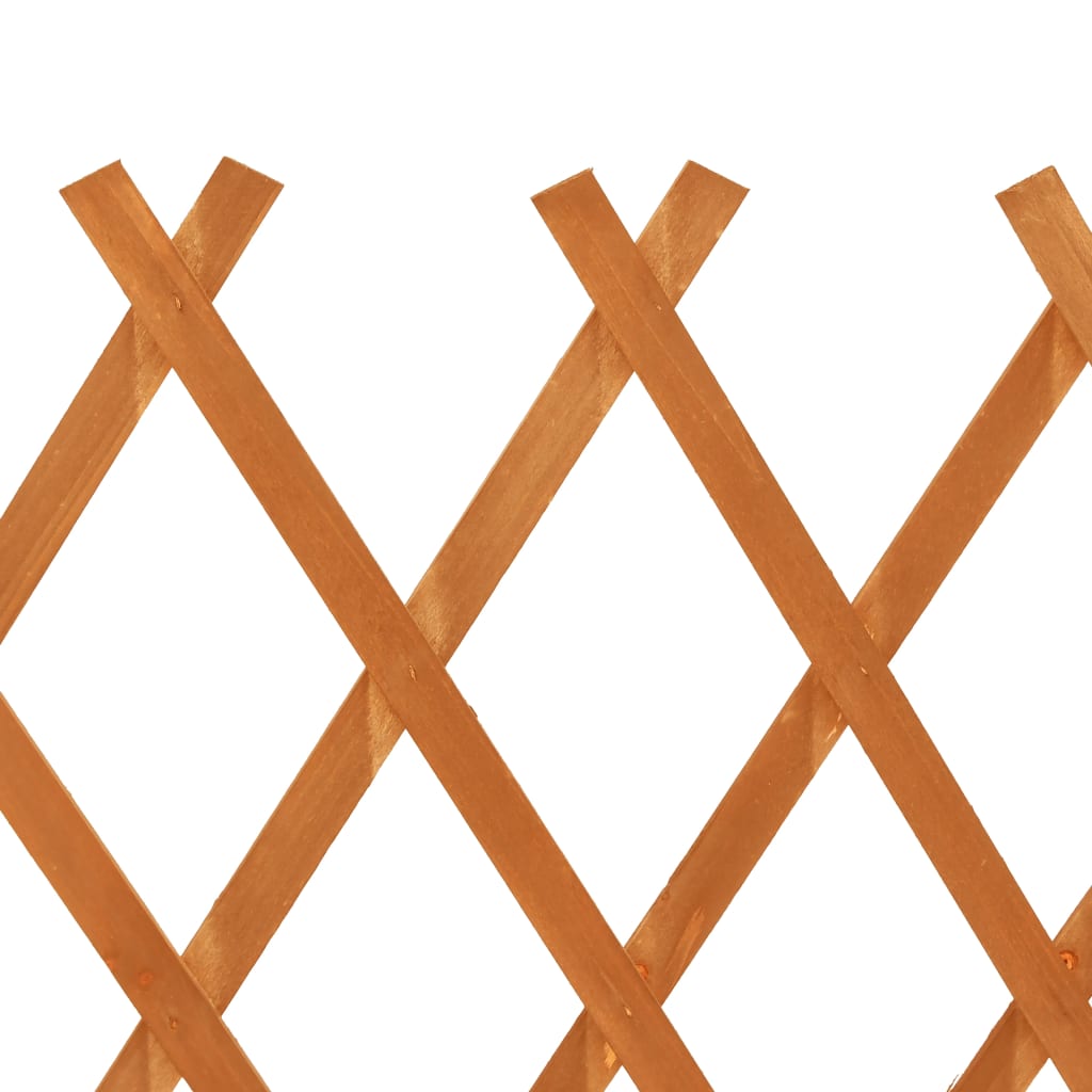 vidaXL Sodo treliažas-tvora, oranžinis, 120x90cm, eglės masyvas