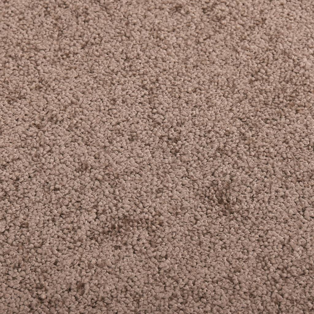vidaXL Durų kilimėlis, rudos spalvos, 60x80cm