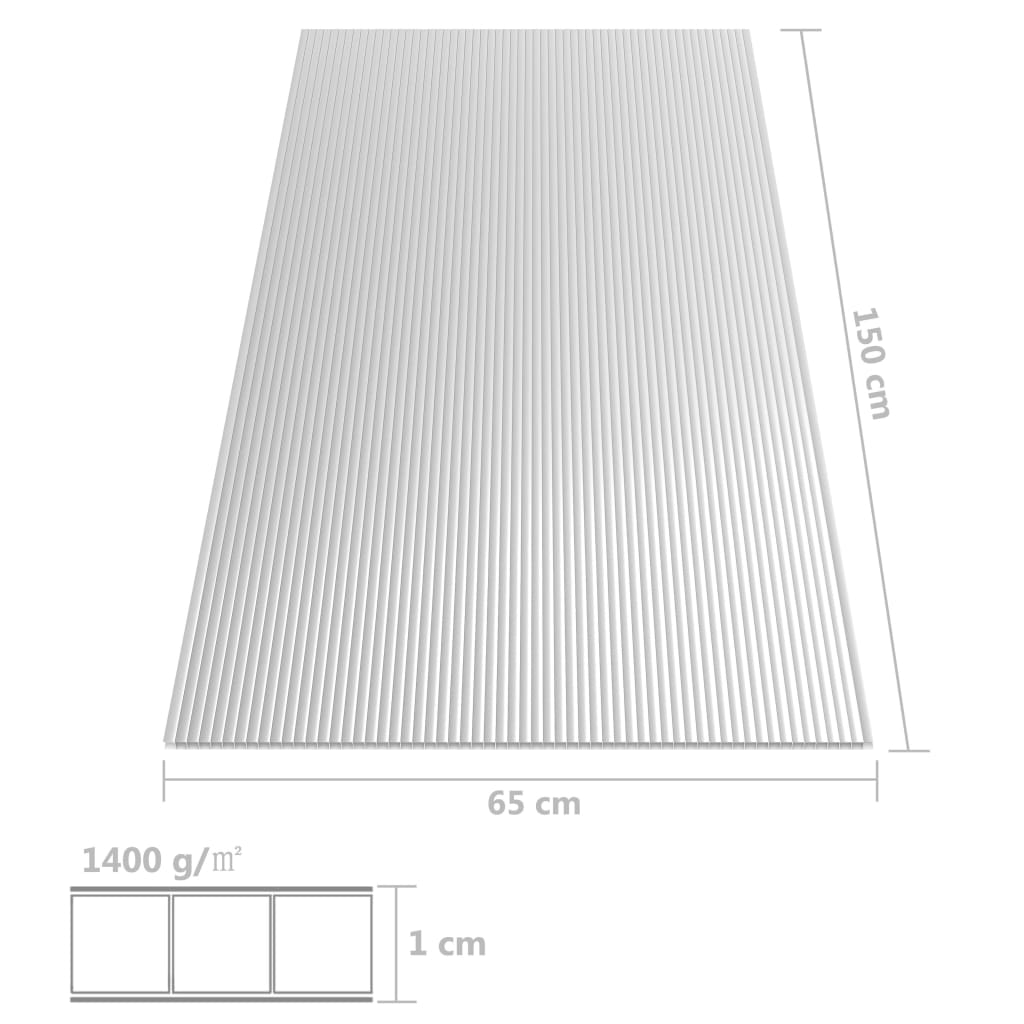 vidaXL Polikarbonato lakštai, 2vnt., 150x65cm, 10mm