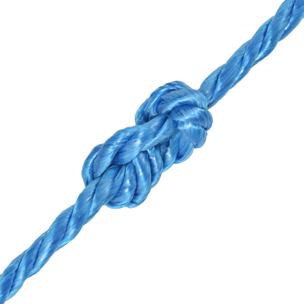 vidaXL Susukta virvė, mėlyna, 500m, polipropilenas, 10mm