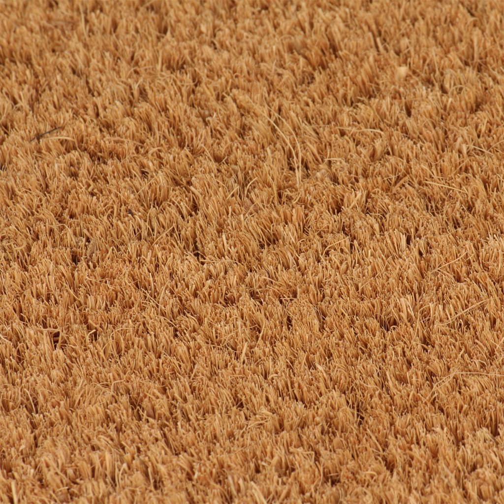 vidaXL Durų kilimėlis, natūralus, 100x300cm, kokoso pluoštas