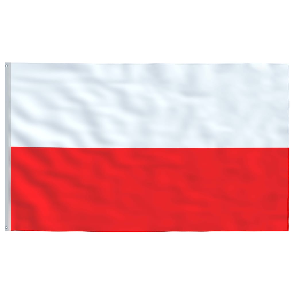 vidaXL Lenkijos vėliava su stiebu, aliuminis, 6m